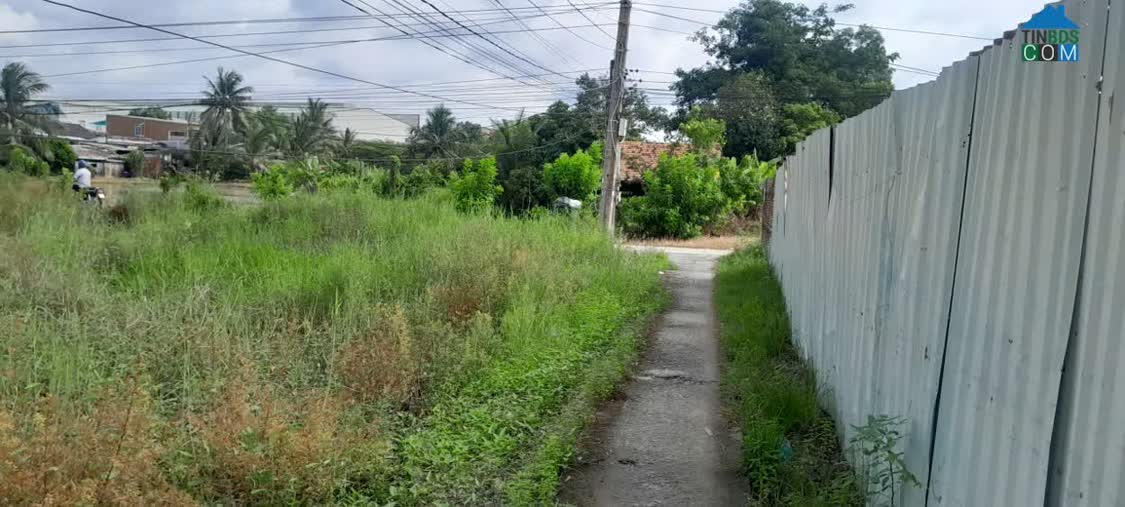 Ảnh Bán Nhanh Lô Đất 7-7.5 X 22 Gần Trường Dạy Nghề Savina – Bến Lức – 16 Triệu/m2 – SHR - Tặng Gpxd... 0