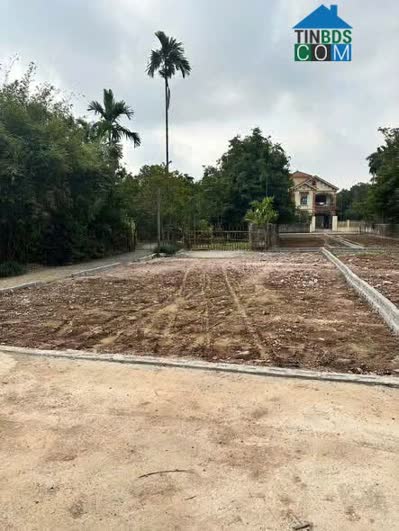 Ảnh Bán đất thổ cư Hoà Lạc, mặt đường ô tô tránh, 105m2, mt8, đối diện đh fpt, hvtc, dhqg, sát metr5... 0