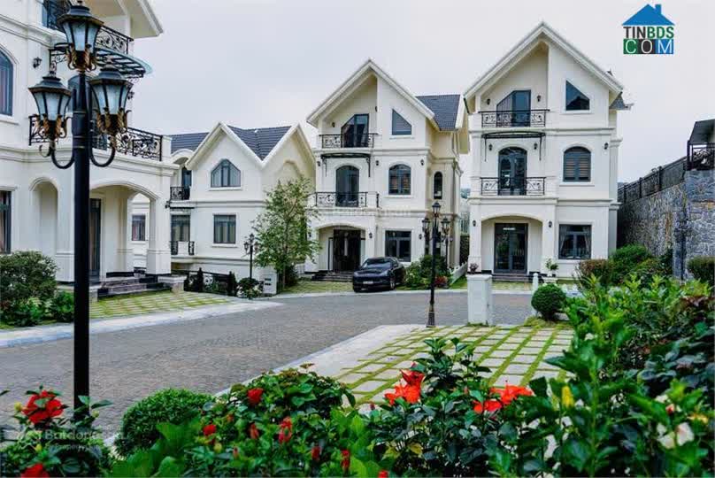 Ảnh Chính chủ bán 3 căn villa cao cấp khu Royall Villa Măng Lin, P. 7, Đà Lạt. 0