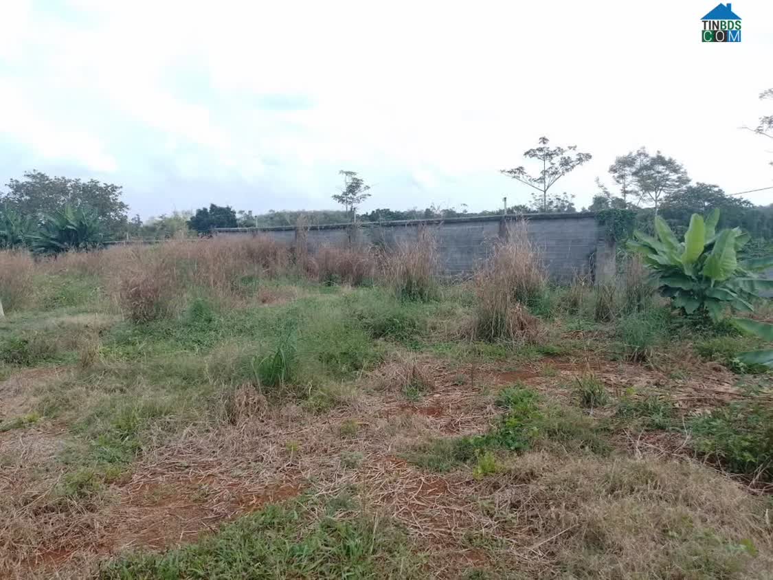 Ảnh Cần Bán Đất 3.000 M² – Đường Kim Long – Láng Lớn, Xã Kim Long, Huyện Châu Đức, Br-Vt 0