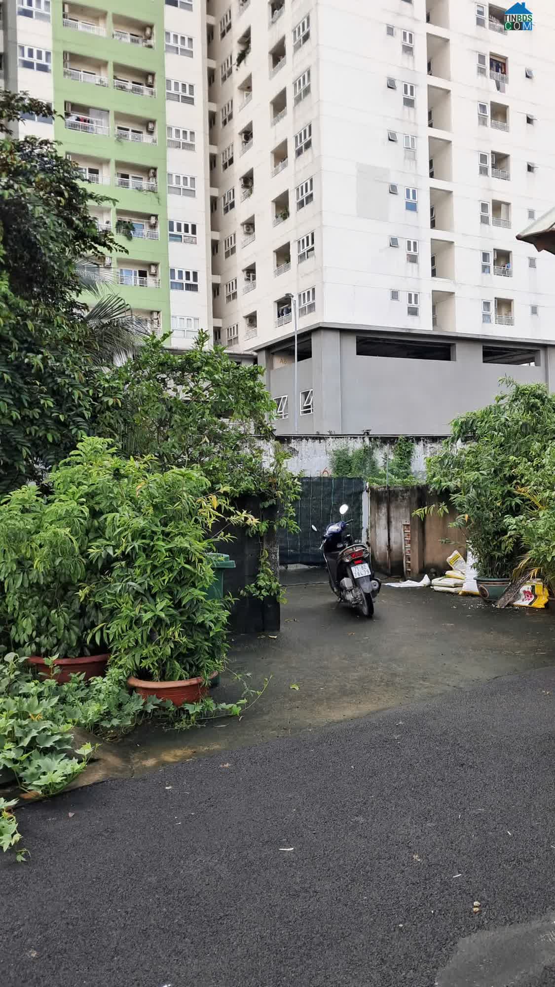 Ảnh Bán Lô Đất Lớn Giá Siêu Rẻ Đường Số 3 - Trường Thọ - Thành Phố Thủ Đức 0