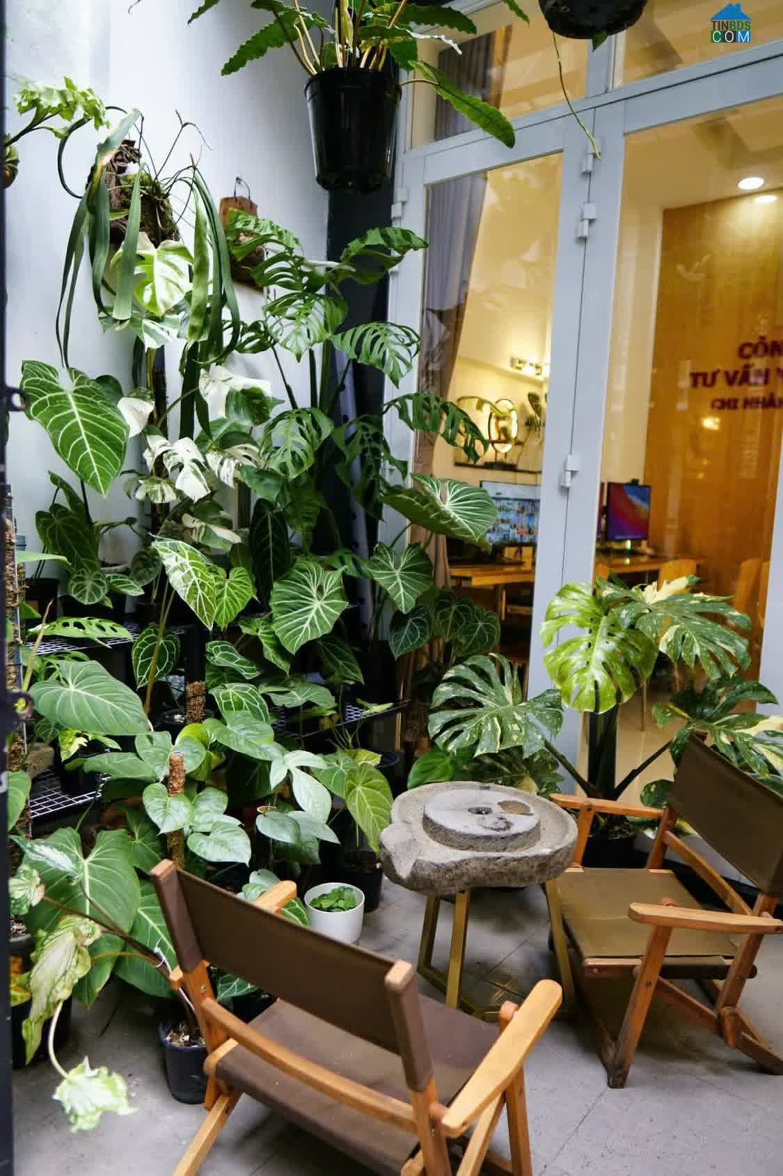 Ảnh Phú Nhuận Nhà 3 Tầng BTCT - 5 Phút Qua Q1- 50M Ra Mặt Tiền Phan Đình Phùng - 9,850 Tỷ TL 0