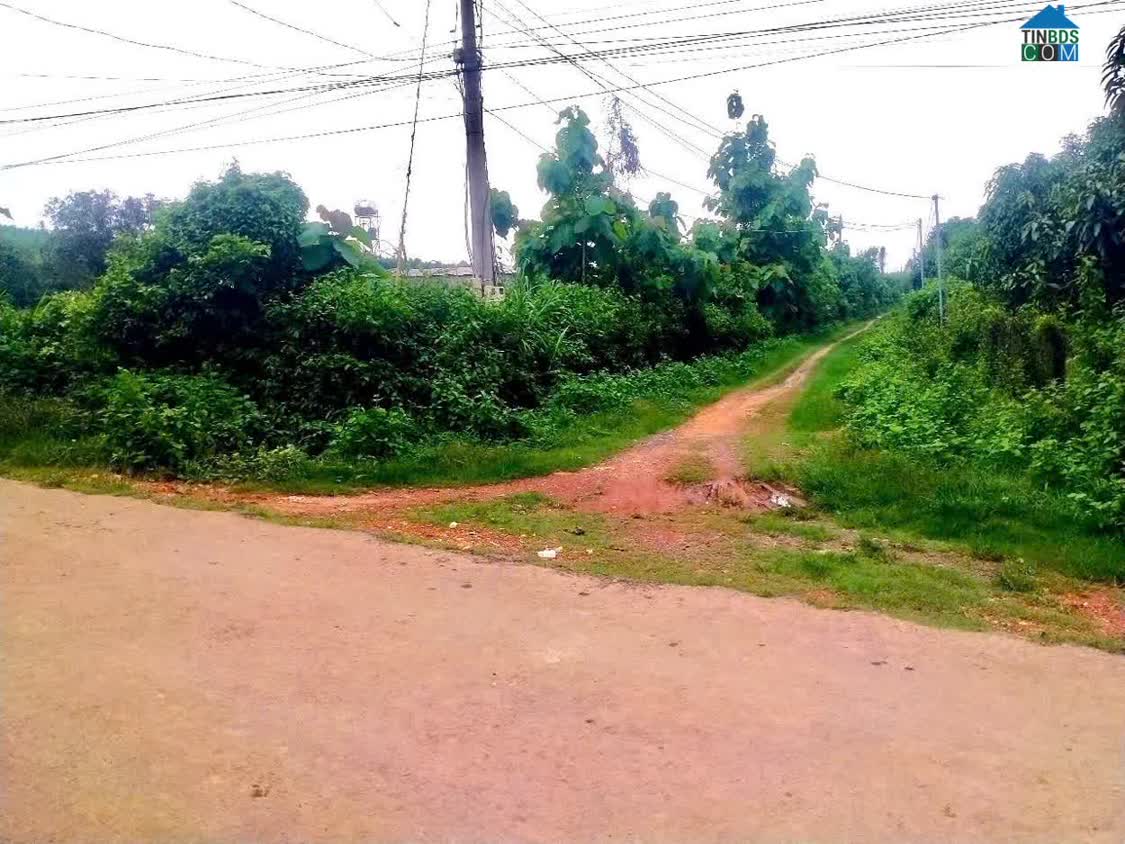 Ảnh Bán đất góc 2 MT ĐT 761, Thanh Sơn, Định Quán; 46.048m2, giá 23,5 tỷ. 0