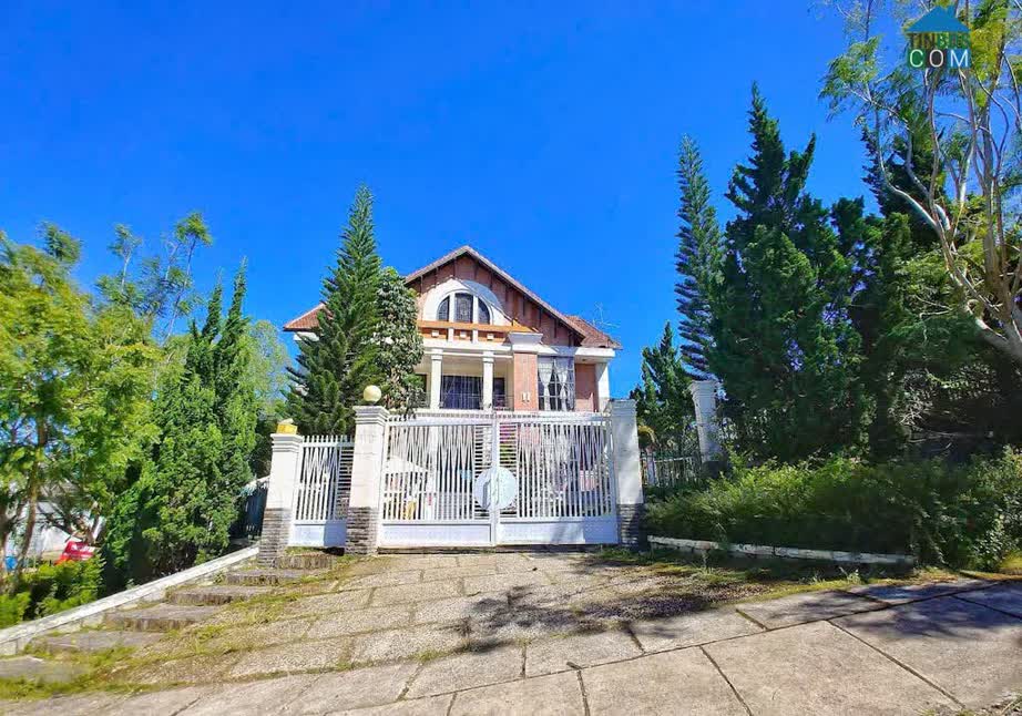 Ảnh Cho thuê villa sân vườn đường Nguyễn Hữu Cảnh Phường 8 Đà Lạt giá 68 triệu 0