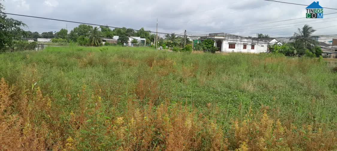 Ảnh Sang ngang lô đất thổ 150m2 đường Nguyễn Trung Trực, Bến Lức – SHR – 2 tỷ 700 triệu 0