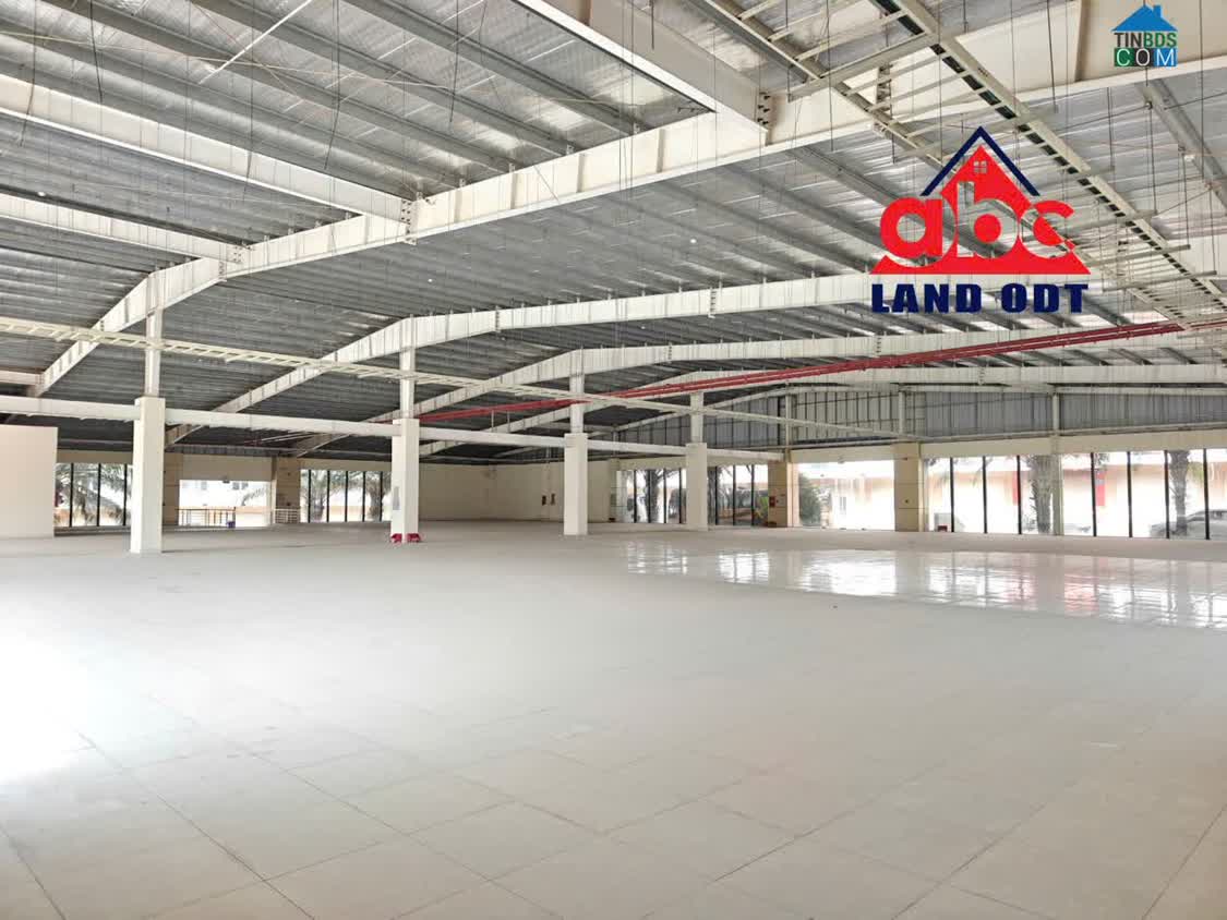 Ảnh HN172 (XT639) Cho thuê Kho MT QL.51 Biên Hòa đất sử dụng 1Ha Pháp lý chuẩn 0