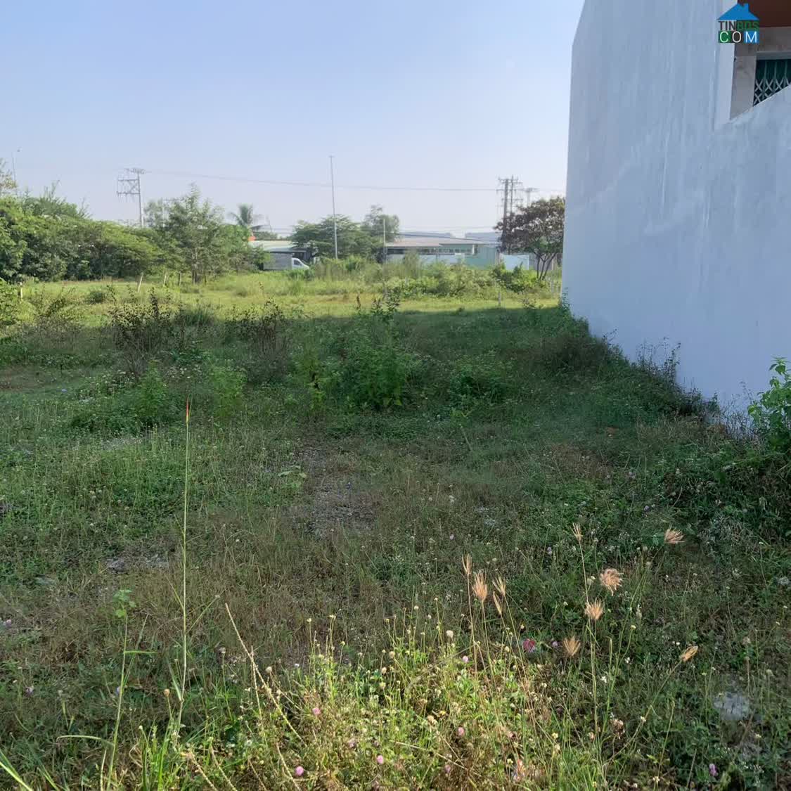 Ảnh Bán Nhanh Lô Đất Thổ 96M2 Ấp 4 Mỹ Yên – Tân Bửu, Bến Lức, 800tr, SHR 0