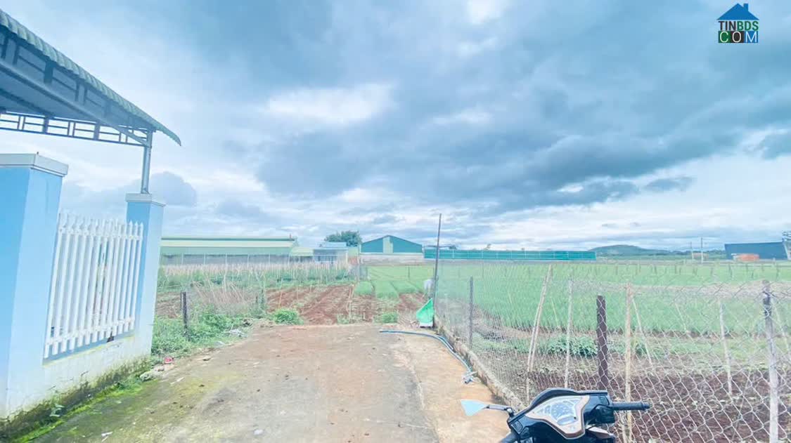 Ảnh Bán đất sẵn nhà tiền chế hẻm tổ 32, liên nghĩa, đức trọng 0