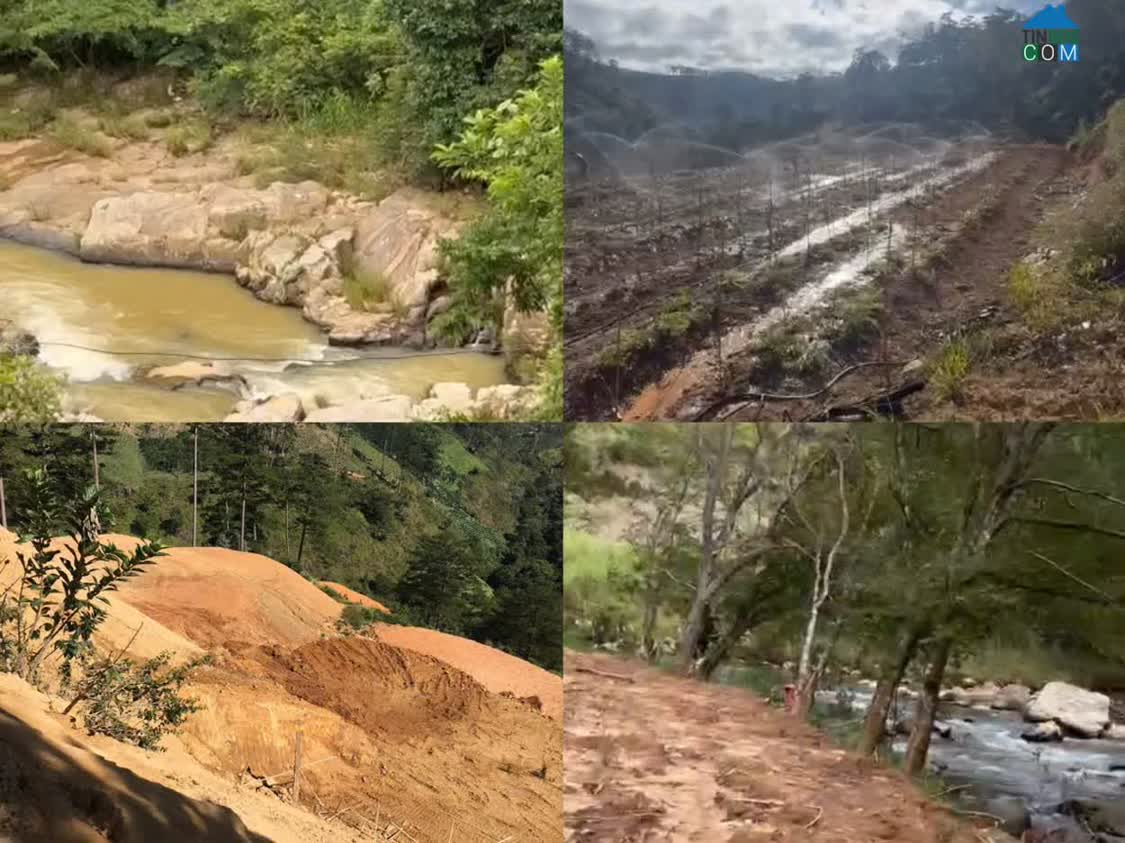 Ảnh Bán 8ha Đất Bãi Ruộng 2 – Xã Đạ Sar , Huyện Lạc Dương, Tỉnh Lâm Đồng 0