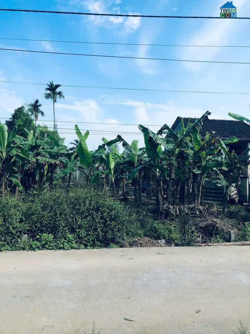 Ảnh Bán Đất Hương An – Gần Ubnd Xã, Hướng Đông Nam, Giá Tốt 0