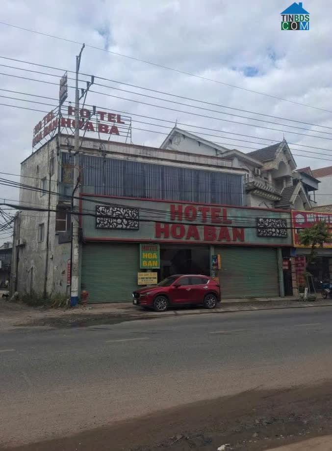Ảnh Chính Chủ Bán Khách Sạn Hoa Ban – Thuận An, Bình Dương 0