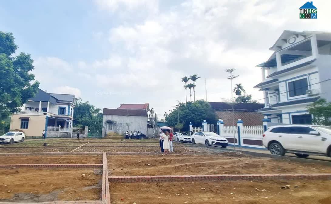 Ảnh Bán đất thổ cư An Lão sát KCN Tràng Duệ- 70m2 chỉ 300 triệu, cơ hội hiếm còn sót lại 0