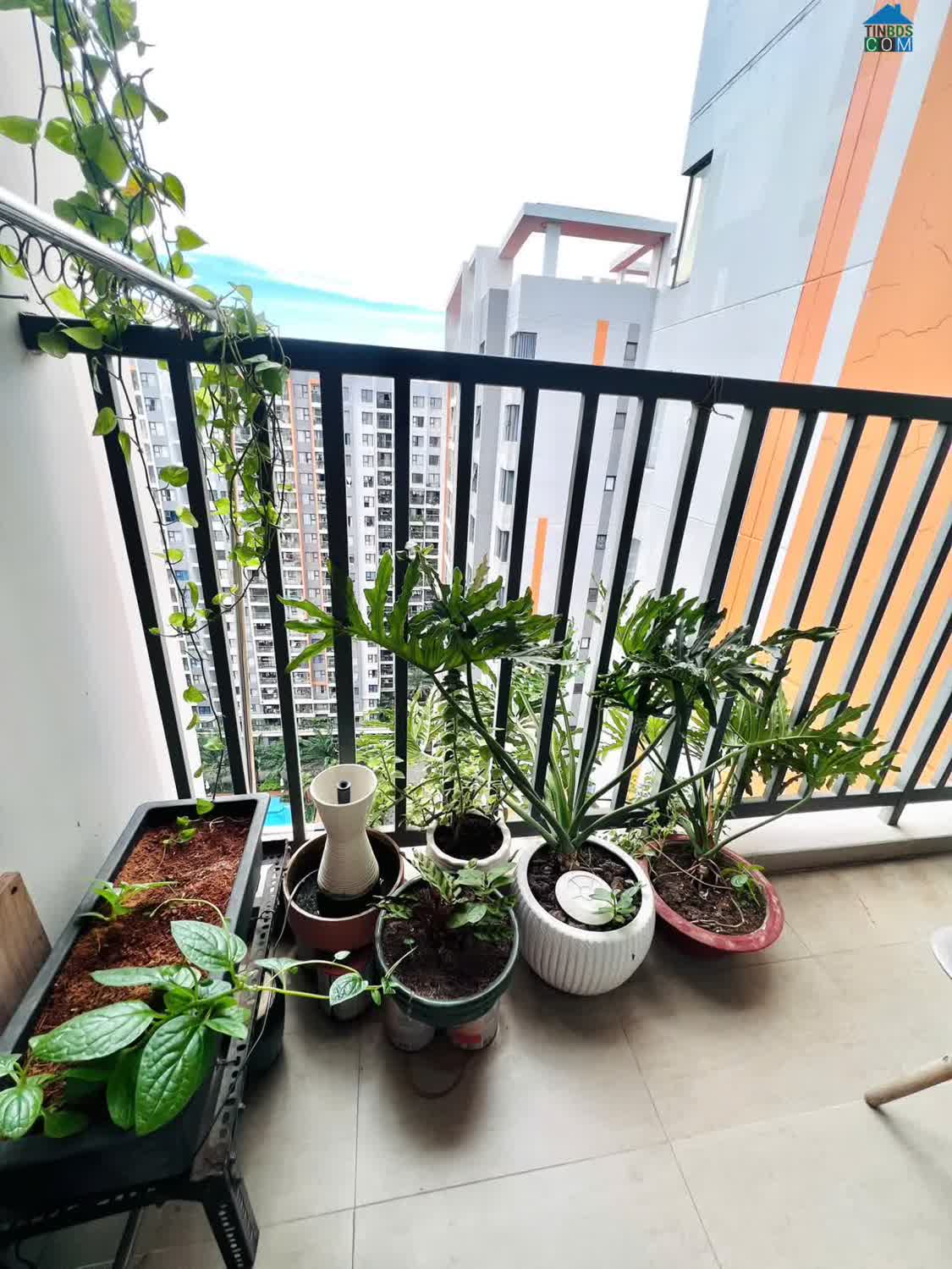 Ảnh Không Thể Bỏ Lỡ Hàng Hiếm Giá Tốt: Safira 2PN 2WC NTCB 8 Triệu (Có Máy Lạnh) 0