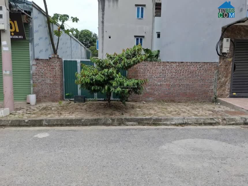 Ảnh Hàng hiếm Bắc Phú Cát đất tái định cư 100m2 full thổ cư dân nhờ bán 3 tỷ 0