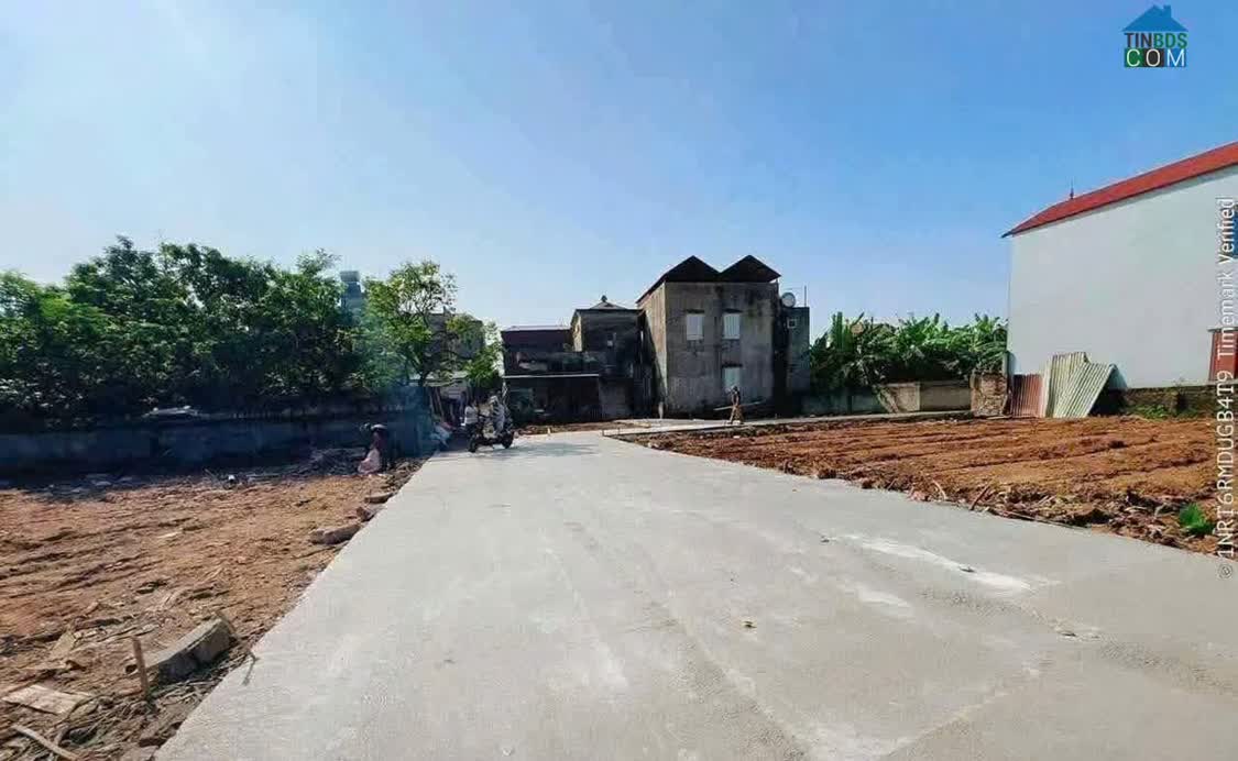 Ảnh Bán Đất Chính Chủ –Lương Tài - Bắc Ninh - Giá Tốt, Cần Bán Nhanh 0