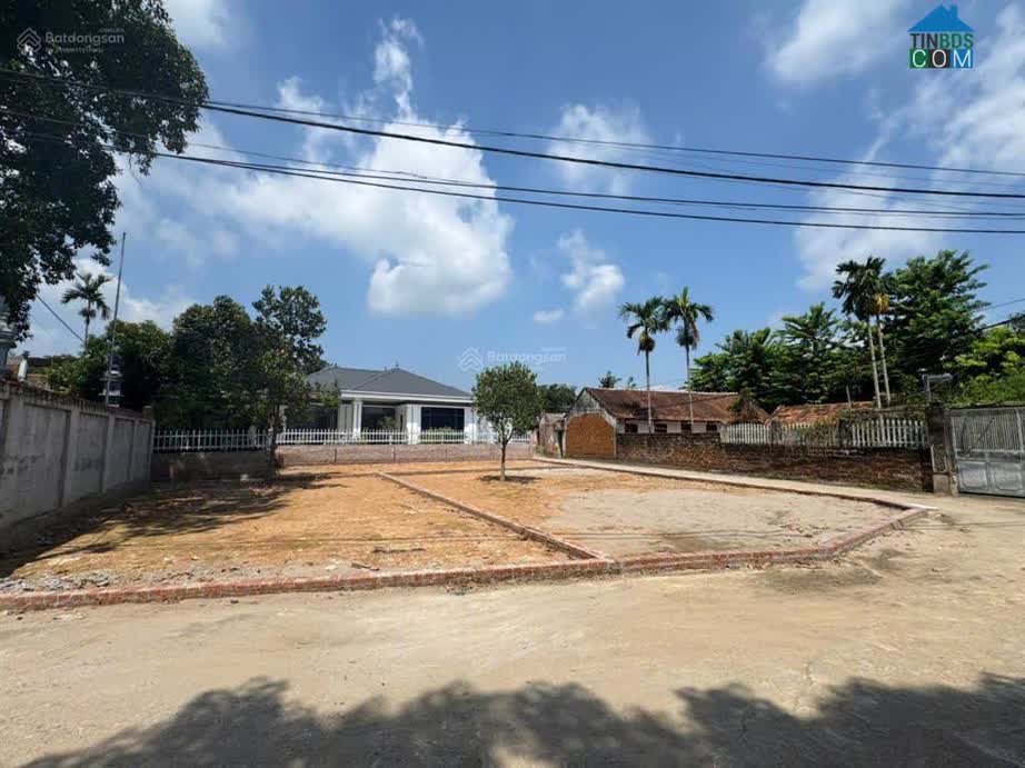 Ảnh Bán Đất Hoà Lạc, Phú Cát, Phân Lô Ô Tô Tránh, Trục Chính Kinh Doanh, Đối Diện Đh Fpt, Đhqg. 0