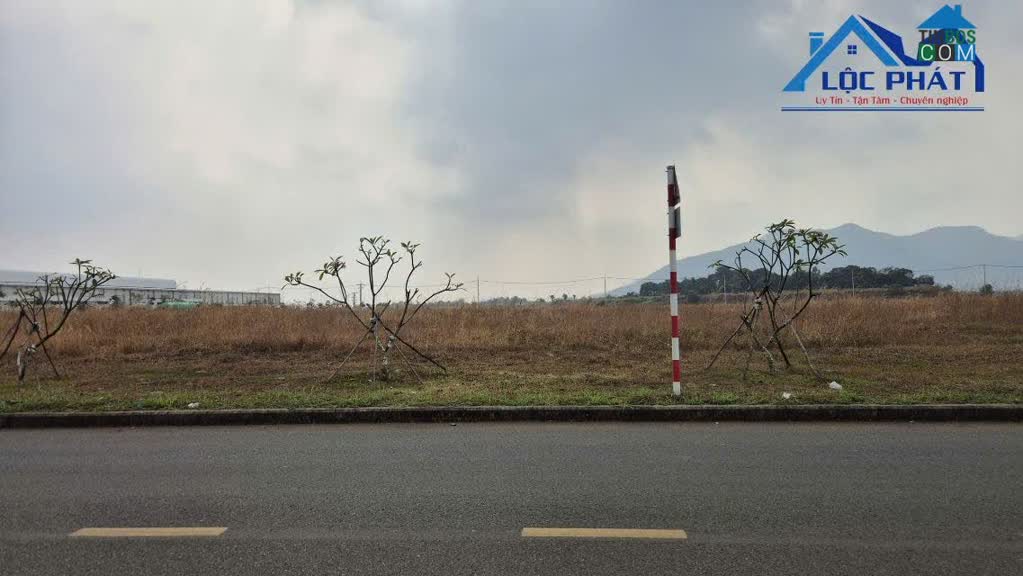 Ảnh Bán đất KCN Bà Rịa Vũng Tàu ha giá chỉ 125 đô/m2 0