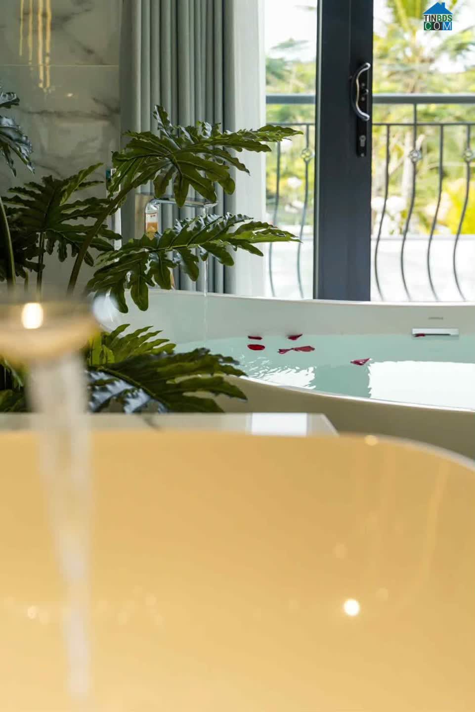 Ảnh Bán villa phố cổ Hội An Cẩm Thanh 534m2 có hồ bơi đang cho thuê giá 18 tỷ 0