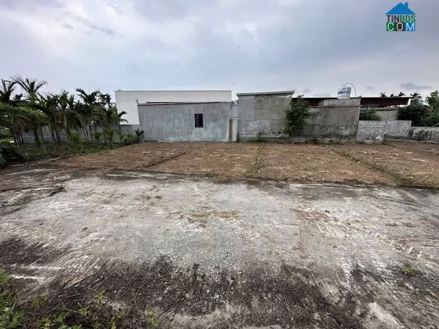 Ảnh 2 lô Tân Phong – Kiến Thụy Giá hiếm 6xx triệu/lô Phù hợp đầu tư khu vực ZALO 0567 222 555 0