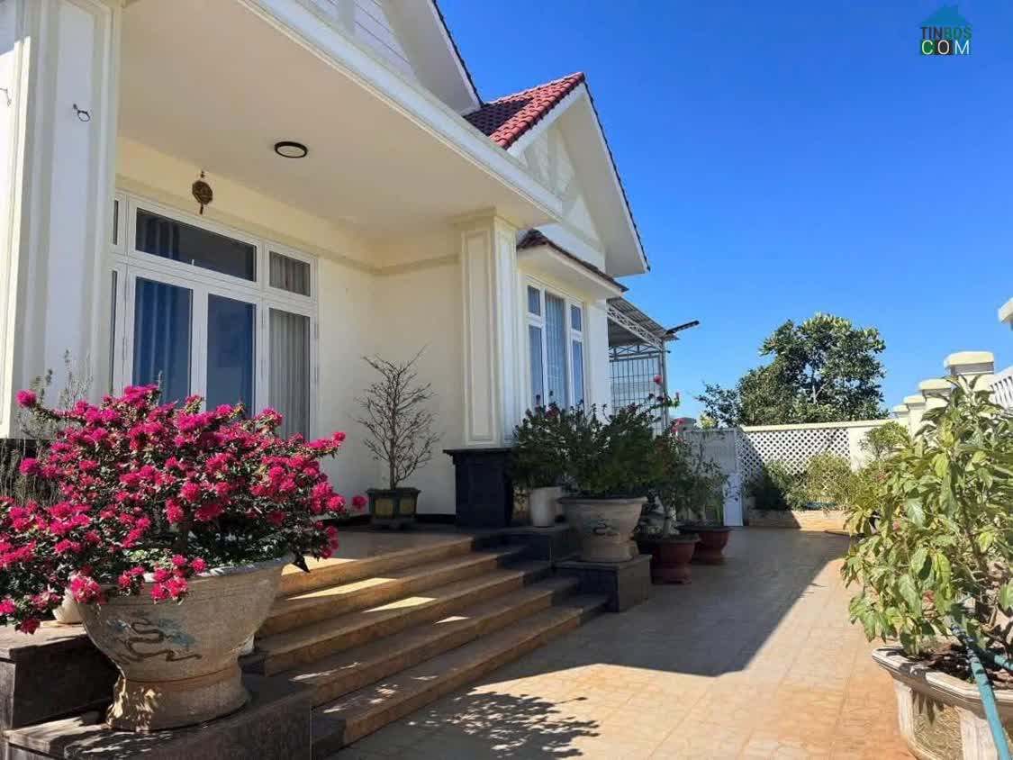 Ảnh Bán villa sân vườn 1038 m2 - thị trấn liên nghĩa đức trọng lâm đồng giá 11 Tỷ 0