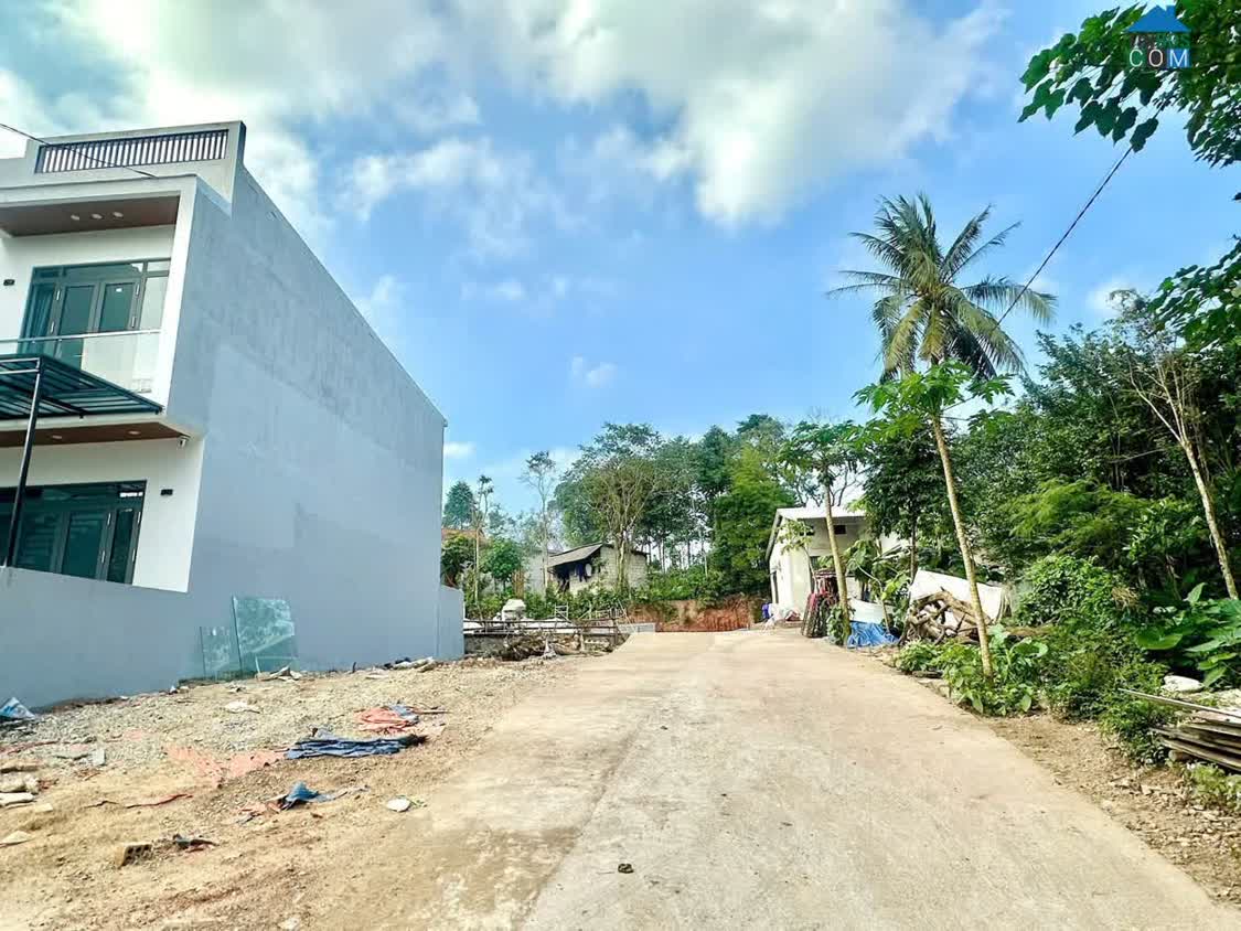 Ảnh Đất Kiệt Ô Tô 24 Vũ Ngọc Anh, Cáo Ráo Bao Ngập Lụt, Cạnh KQH Bàu Vá. 100M2 Đất Ở 0