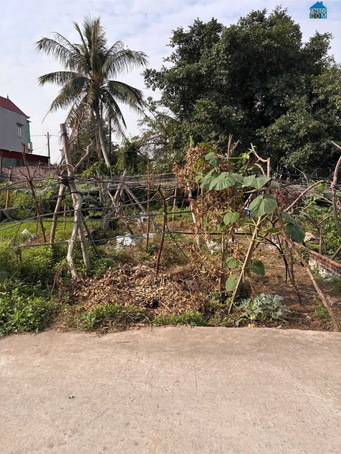 Ảnh Bán Đất Tân Thành Dương Kinh 98M2 – Ngõ Bê Tông Rộng – Giá Đầu Tư Hiếm Zalo 0567 222 555 0