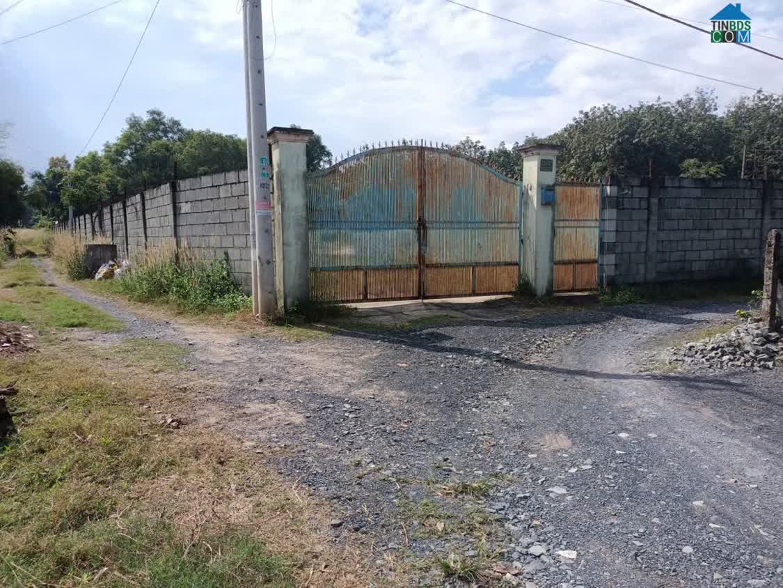 Ảnh Siêu Phẩm Đất 3 Mặt Tiền – Xã Phú Hòa Đông - Huyện Củ Chi - Tphcm- Đất 3 Mặt Tiền – Cực Hiếm 0