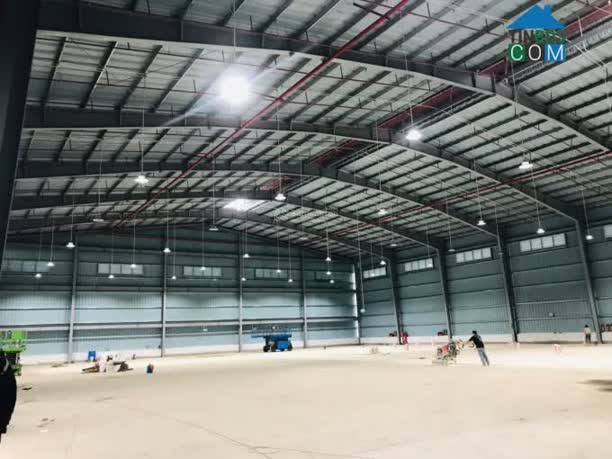 Ảnh Cho Thuê Nhà Kho 900M2 Tại Hoà Cầm, Sẵn Điện 3 Pha, Giá Chỉ 50K 0