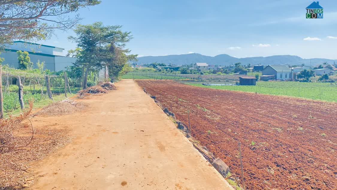 Ảnh Bán 4 lô đất hẻm tổ 33, thông 2 đầu, đức trọng, lâm đồng 0