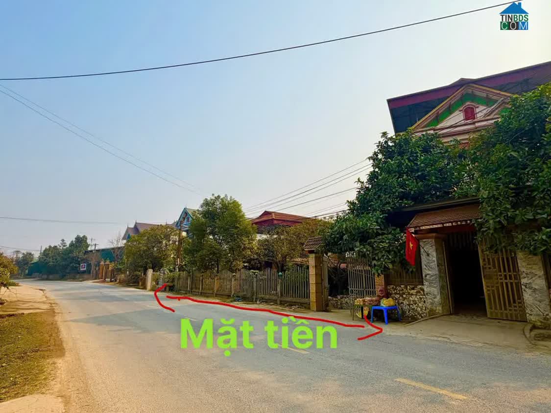 Ảnh Chính Chủ Bán Đất Mặt Đường Tỉnh Lộ 313 – Đối Diện Cây Xăng Hương Lung – Vị Trí Ngã Tư Kinh Doanh 0