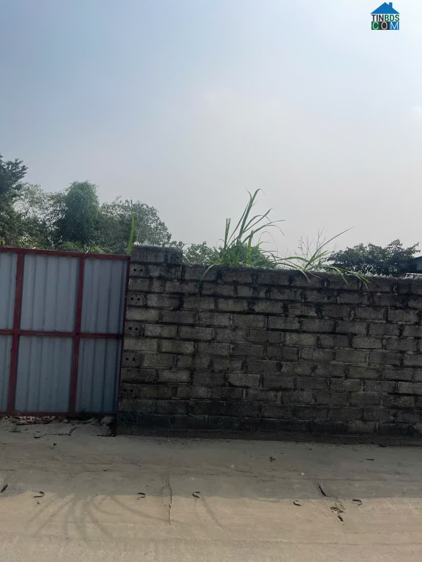 Ảnh Bán Đất Hoà Lạc, Cách Metro 5 600m, Đối Diện Đh Fpt, 400M Tới Khu CNC 1, 179m2, Ôtô Tránh. 0