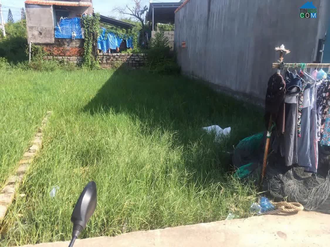 Ảnh Bán 5m x 16m đất Thổ cư Hẻm Nguyễn Trãi, Bình Tân, LaGi giá rẻ 700 triệu 0