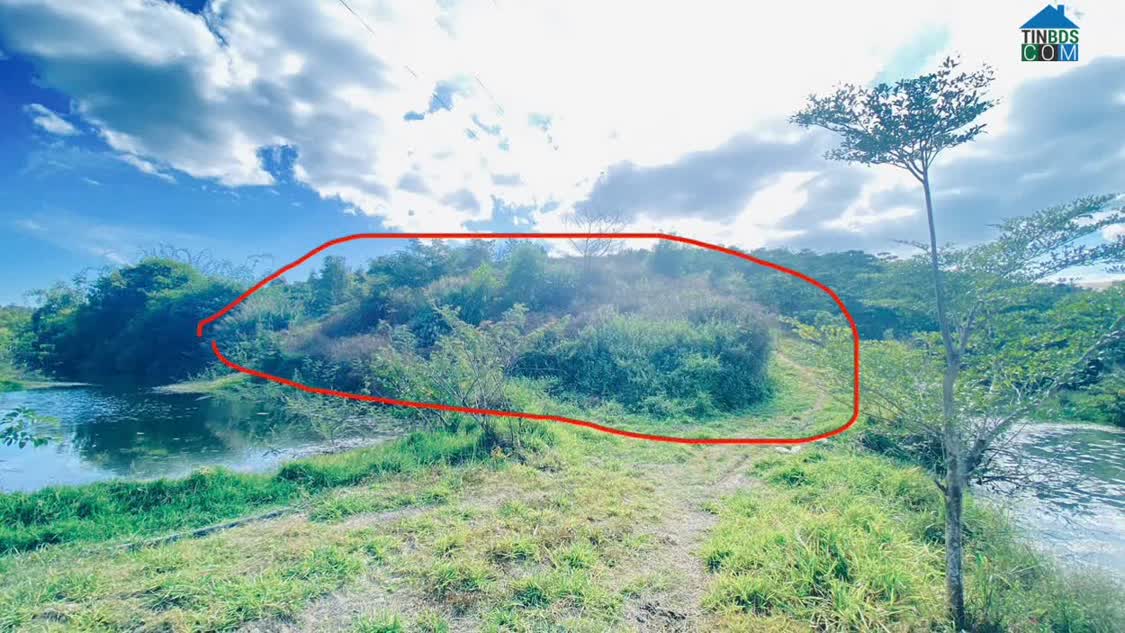 Ảnh 1 lô đất thuộc xã ninh gia, đức trọng cũ, lâm đồng, sau bách hóa xanh đi vào 0