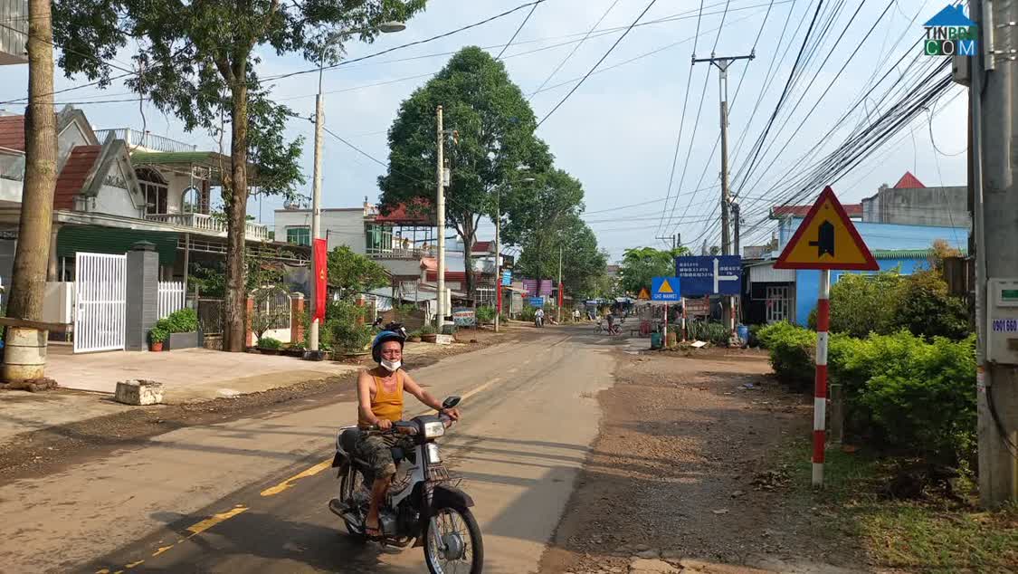 Ảnh Bán 1000m Đất Mặt Tiền Tà Lài xã Phú Lộc, huyện Tân Phú, Đồng Nai - Quy Hoạch Đất Ở 0