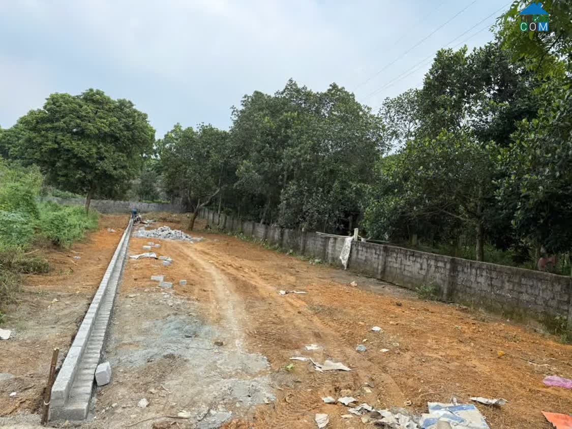 Ảnh Chính Chủ Bán Gấp Lô Đất Trước Tết – Đất Mặt Đường Nguyễn Văn Linh,Huyện Lương Sơn - Tỉnh Hòa Bình 0