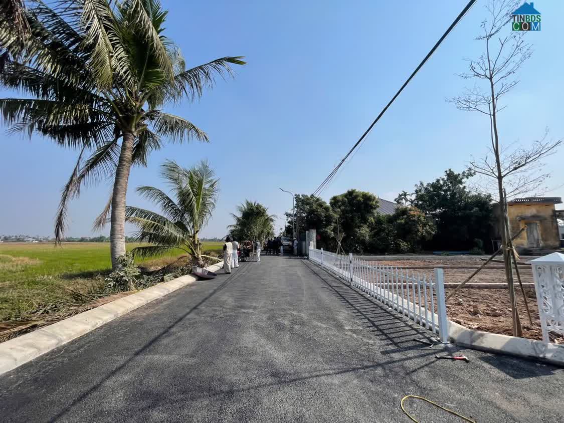 Ảnh An Lão – Hải Phòng: Vùng đất đang chuyển mình mạnh mẽ 0