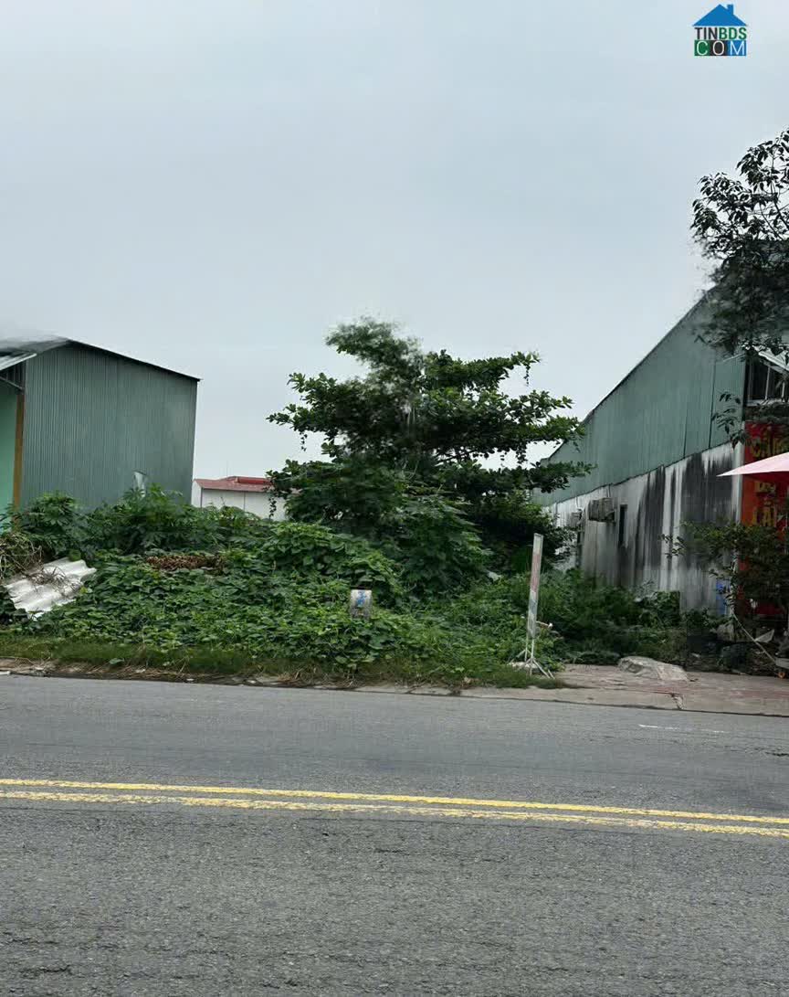 Ảnh BÁN MÃNH ĐẤT PHAN VĂN MÃNG – TT BẾN LỨC DT 5 x 73m – SHR – GIÁ 11 TỶ (TL) 0