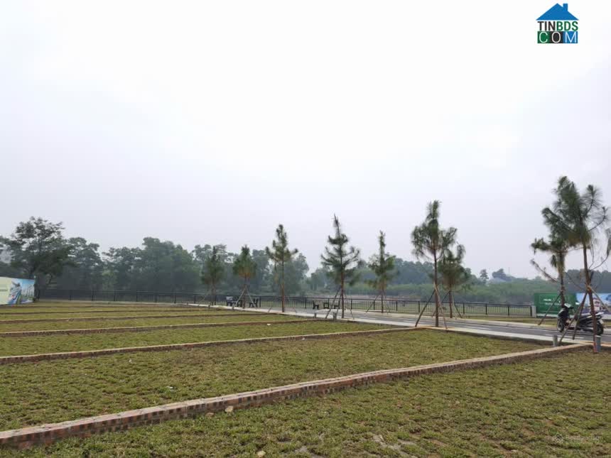 Ảnh Đất Trại Hồ Cổ Đông giá nhỉnh 2 tỷ, sát CNC Hòa Lạc Hàng hiếm 0