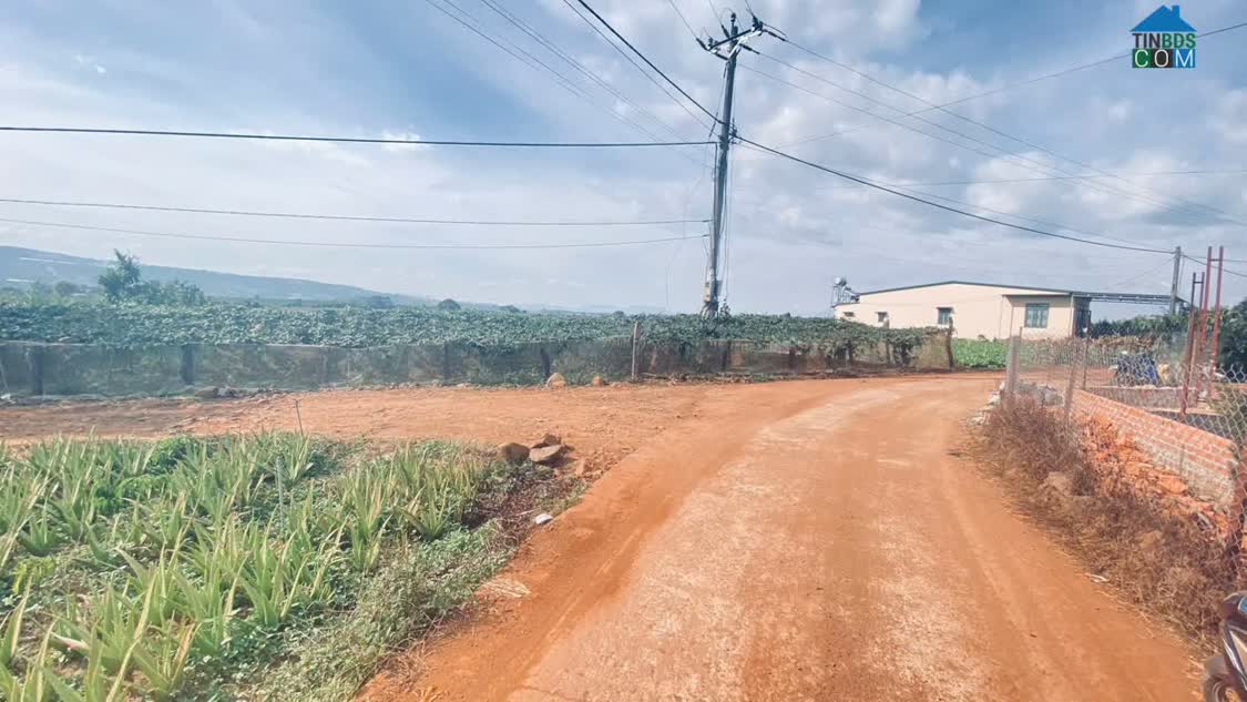 Ảnh Gần 1,1 ha ( chỉ 11,5 tỷ ), hẻm ba cản, tân hội, đức trọng cũ, lâm đồng 0