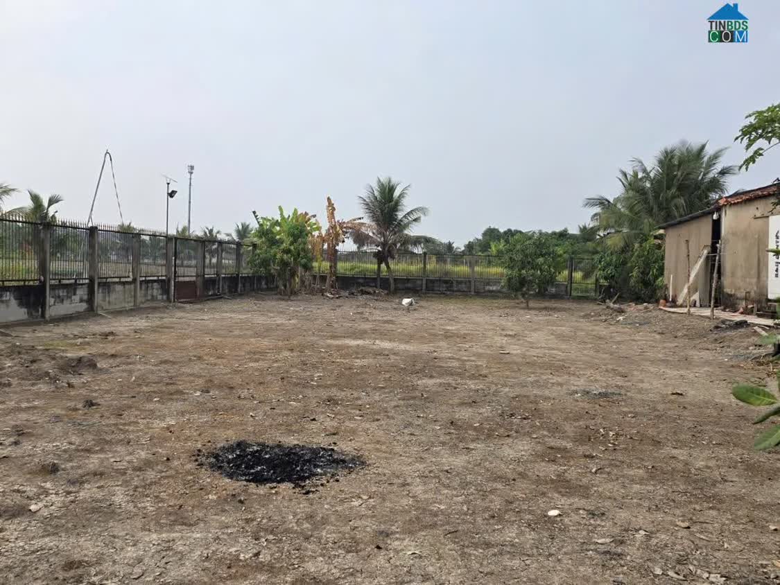 Ảnh Cho Thuê Đất Trống 2.000m² – Vị Trí Đẹp Giáp Bình Chánh 0