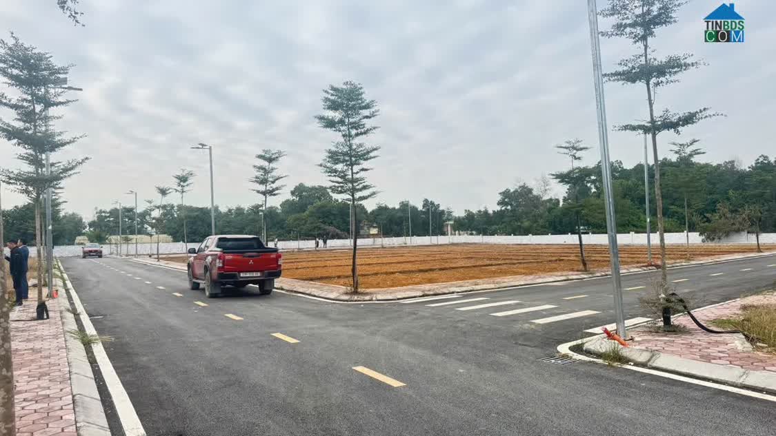 Ảnh Chính chủ cần tiền bán gấp đất Phú Cát, Hòa Lạc đón sóng quy hoạch giá còn rẻ. 0