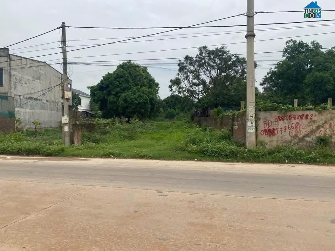 Ảnh Bán đất mặt đường 310 tại Thị Trấn Kim Long, Tam Dương, Vĩnh Phúc. Giá chỉ 12 triệu/m2 0