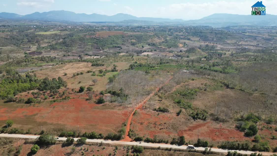 Ảnh Chính Chủ Cần Bán 25ha Đất Đỏ Bazan – Xã Kon Chiêng - Tỉnh Gia Lai 0