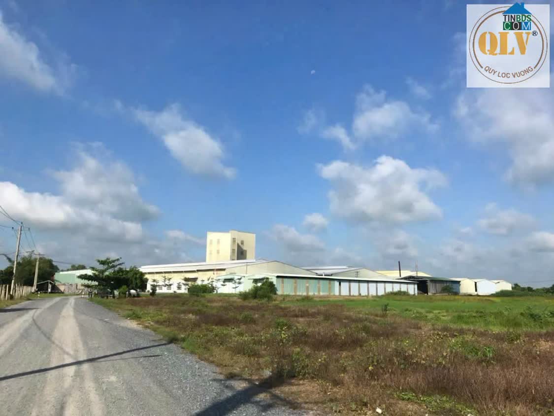 Ảnh Bán Gấp Xưởng Siêu Đẹp - Vị Trí Đắc Địa Gò Dầu, Tây Ninh - 20.000m² 0