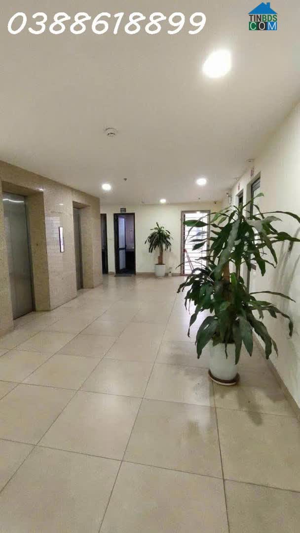 Ảnh Bán Toà VP Siêu Đẹp- Mặt Phố Lớn TT Đống Đa 410mx10t, MT 13,5m - Rẻ Nhất Đống Đa 0