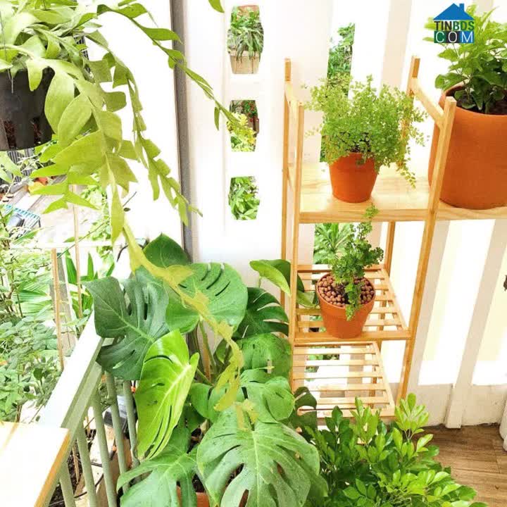 Ảnh ‼️ Thích Quảng Đức Phú Nhuận – Hẻm đẹp yên tĩnh – 34m2 nở hậu – chỉ hơn 5 tỷ 4