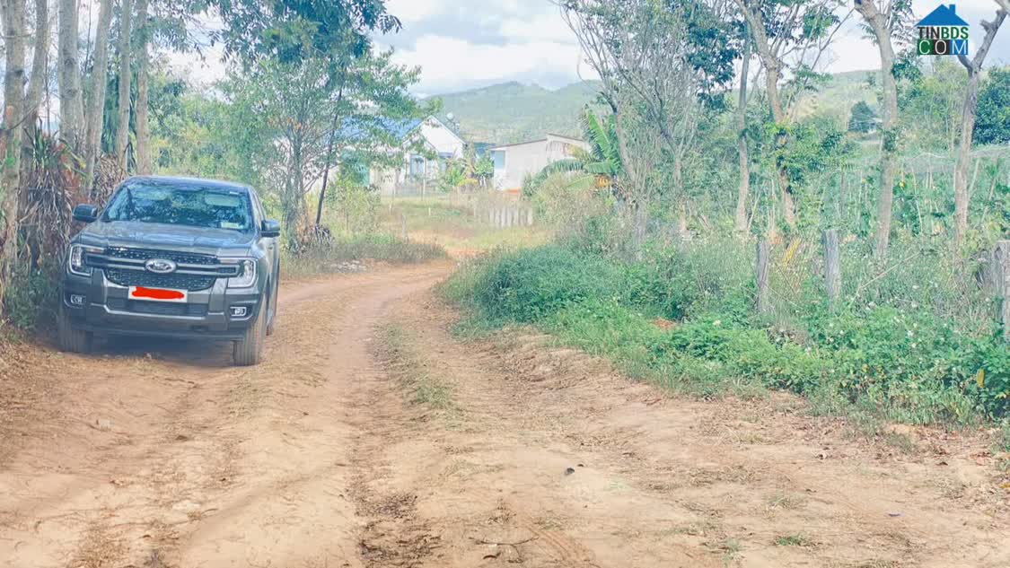 Ảnh Bán 4 sào phú hội pre, đức trọng, lâm đồng, nhà c4, điện nước đầy đủ 0