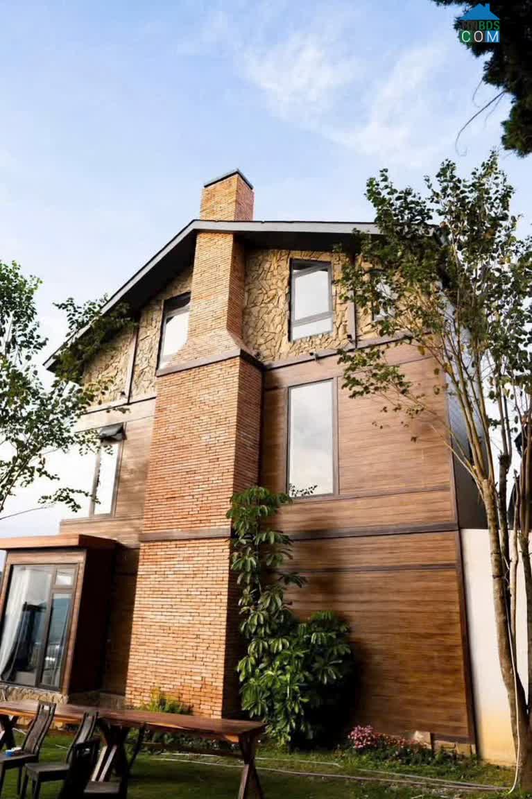 Ảnh Cho Thuê Villa Ôm Khoán Từ Nay Đến Tết – Đà Lạt 0