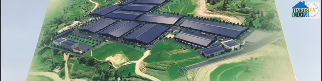 Ảnh Cho Thuê Nhà Xưởng Tân Uyên 125.000m² 0