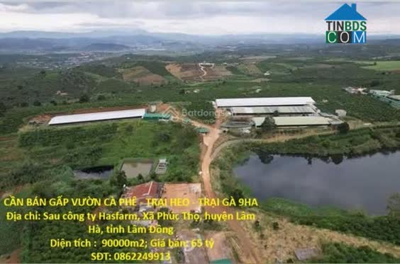 Ảnh Cần bán gấp vườn cafe - Trại heo tại Xã Phúc Thọ (Lâm Hà), Lâm Đồng, 0865135913 0